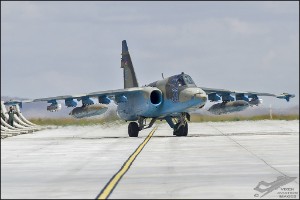 D7T_4623